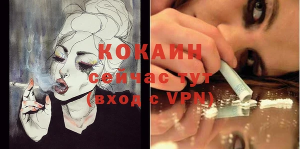 тгк Алексин