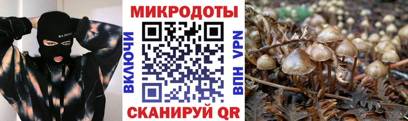это наркотические препараты  мега ТОР  Котовск  Псилоцибиновые грибы мицелий 