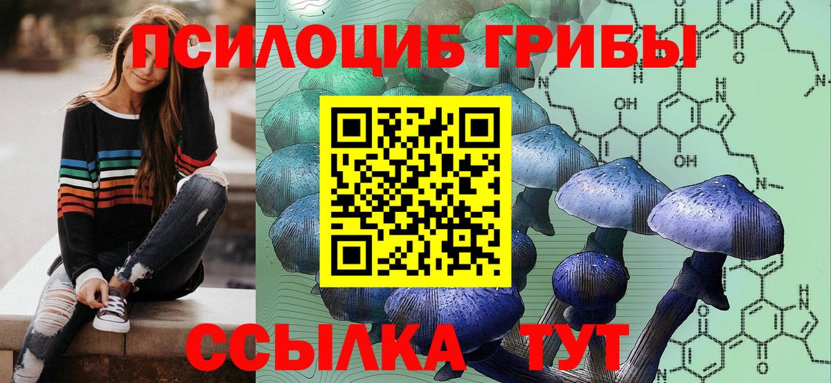 Галлюциногенные грибы Psilocybine cubensis  Галлюциногенные грибы Psilocybine cubensis  где продают   Котовск  Вход с VPN 